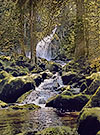 Gutach Waterfalls