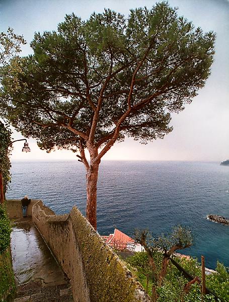 Des chemins autour de citronniers au-dessus d’Amalfi.