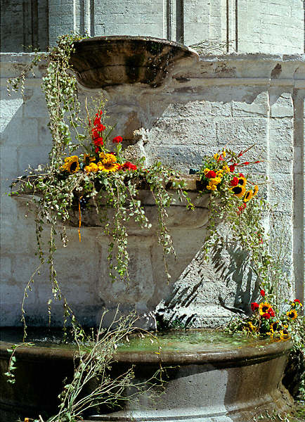 Blomster uden for den Palads des Avis i Avignon.