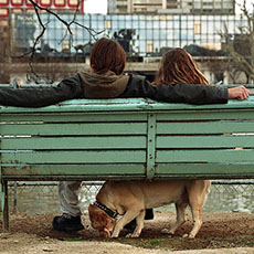 Un jeune couple sur un banc public avec leur chien sur l’allée des Cygnes.