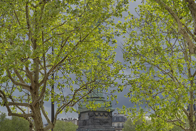 The Northern side of place de la Bastille in the late spring