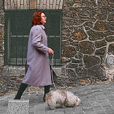 A woman walking uphill with her dog in Montmartre.
