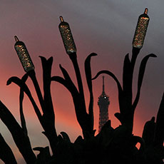 The Eiffel Tower framed by the Nymph of the Neva sculpture on pont Alexandre III at sunset.