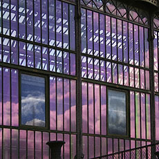 Des reflets sur la serre Mexicaine dans le jardin des Plantes.