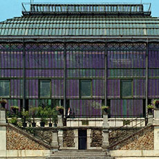 The Australian Greenhouse in the jardin des Plantes.