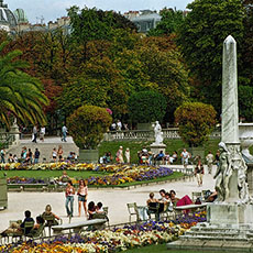 Des palmiers dans le jardin du Luxembourg.