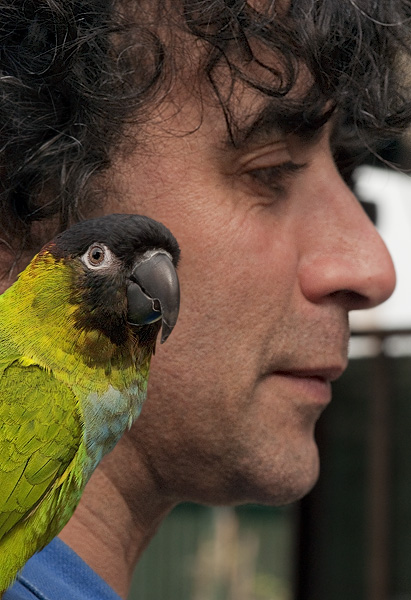 Un vendeur avec un perroquet vert à l’épaule au Marché aux Oiseaux.