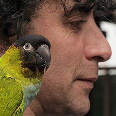 Un vendeur avec un perroquet vert à l’épaule au Marché aux Oiseaux.