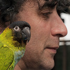 Un vendeur avec un perroquet vert à l’épaule au marché aux Oiseaux.