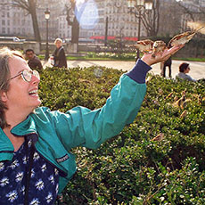 Une femme donne à manger aux moineaux en vol devant Notre-Dame.