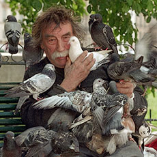 An elderly man on île de la Cité with a dozen pigeons on him.