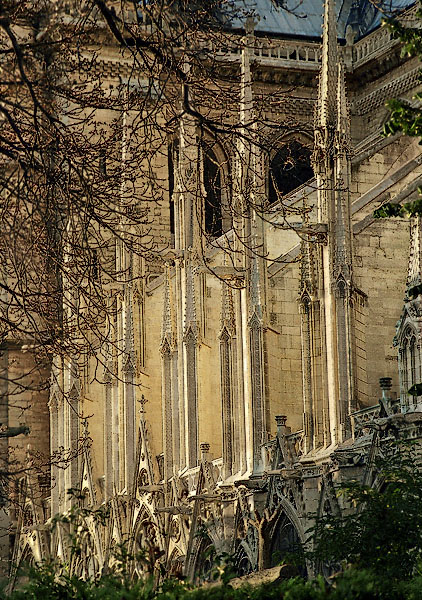 Des arcs-boutants de la façade sud de Notre-Dame.