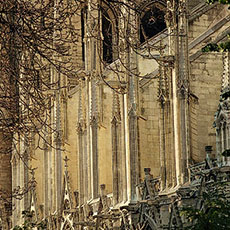 Des arcs-boutants de la façade sud de Notre-Dame.