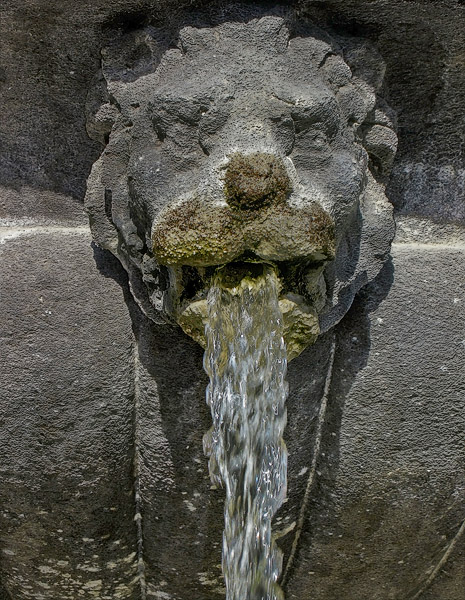 A lion on a fountain spitting water in place des Vosges.