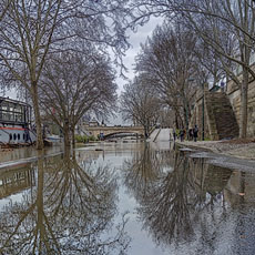 Reflections of trees on a flooded river bank below quai de l’Hôtel de ville, February 2021.