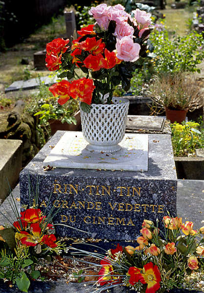 La tombe de Rin Tin Tin dans le cimetière animalier à Asnières.