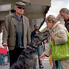 Un homme avec son chien énorme sur la rue de Rivoli.