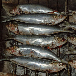 Sardines on the grille at a soirée among neighbors.