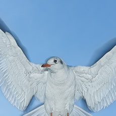 Une mouette en vol au-dessus du pont au Double.