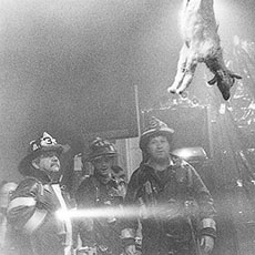 Boston firefighters looking at a goat hanging from the ceiling inside the Boston Film & Video Foundation.