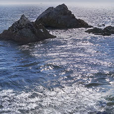 Les Seal Rocks à San Francisco.