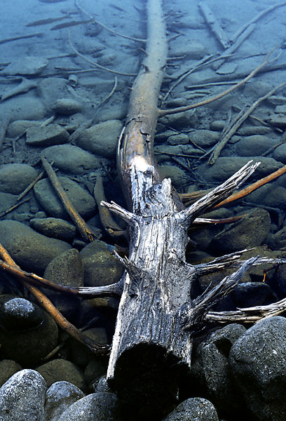 Le Lac Annette constitué par les eaux glacières du Parc National Jasper, Alberta.